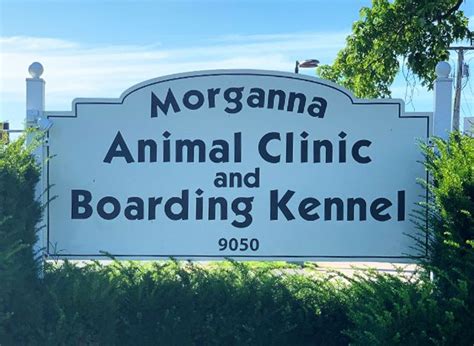 morganna animal clinic